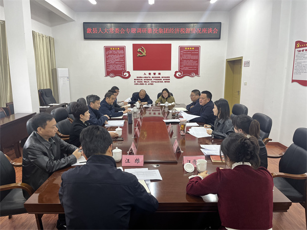 4月7日，縣人大常委會主任梅代軍帶隊專題調(diào)研徽投集團經(jīng)濟稅源情況，集團洪董、葉總、方總參加調(diào)研座談。.jpg