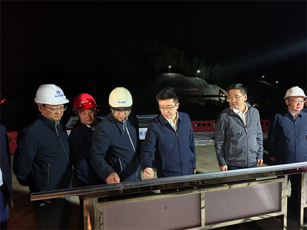 10月31日，汪凱書記，王奇勇縣長，洪董陪同何毅市長一行督導防洪工程項目.jpg