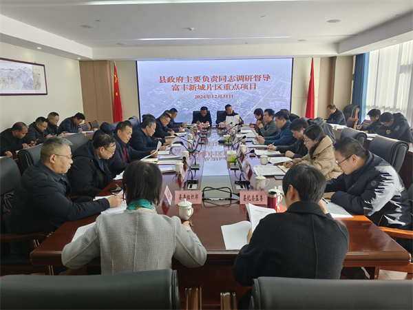 12月31日，縣政府主要負責同志調(diào)研督導富豐新城片區(qū)重點項目.jpg
