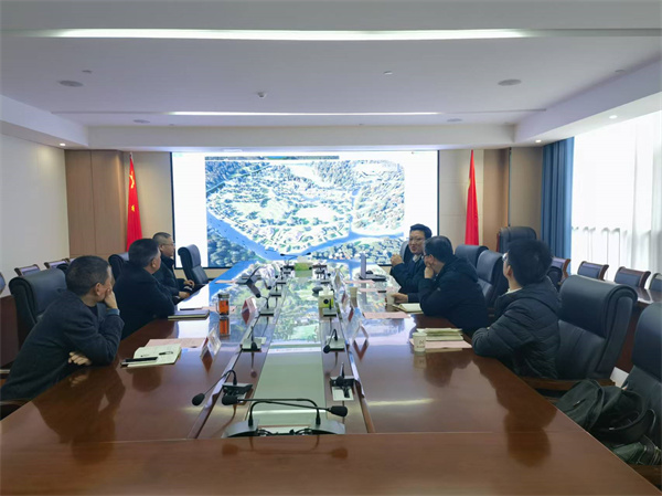 12月12日，洪董會浙江藏元匯控股公司研究集團(tuán)文旅業(yè)態(tài)項目.jpg