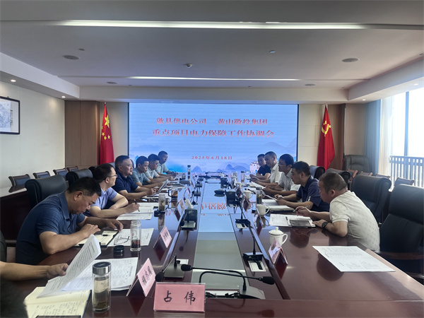 6月18日，歙縣供電公司總經(jīng)理張杰帶隊(duì)赴集團(tuán)就重點(diǎn)項(xiàng)目電力保障工作進(jìn)行座談交流，洪董、潘總、余總、張總，市政、逸寧等單位參加座談。.jpg