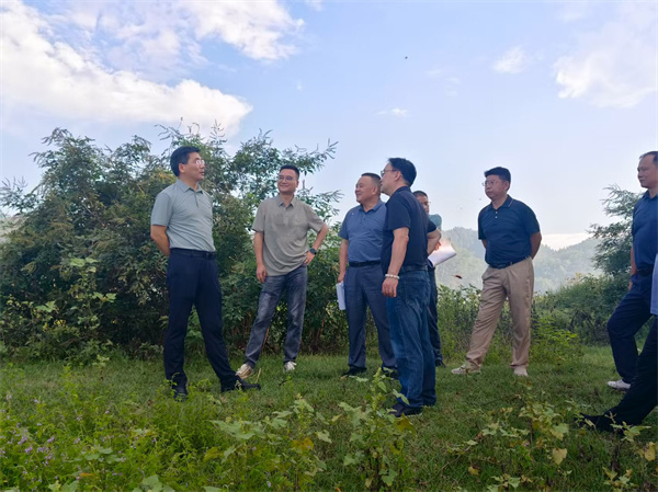9月15日，王奇勇縣長調(diào)研新安江航道綜合整治提升工程，集團(tuán)洪董、張總陪同調(diào)研.jpg