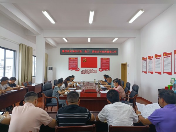 洪董帶隊調(diào)研市政公司、逸寧公司和質(zhì)檢公司黨的建設(shè)工作.jpg